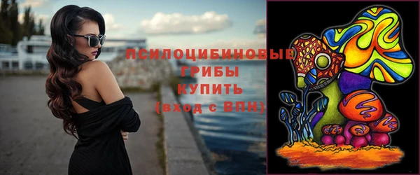 дмт Каменка