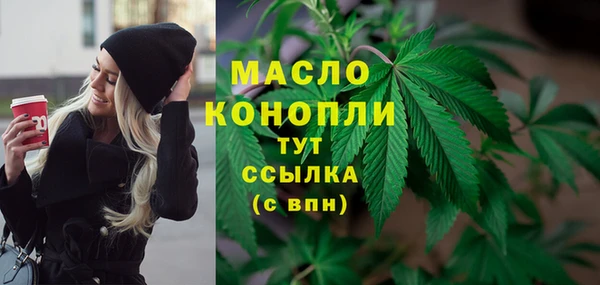 дмт Каменка