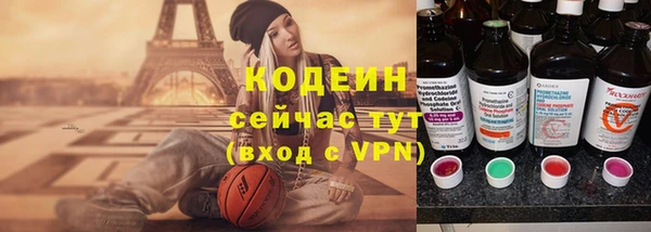 дмт Каменка