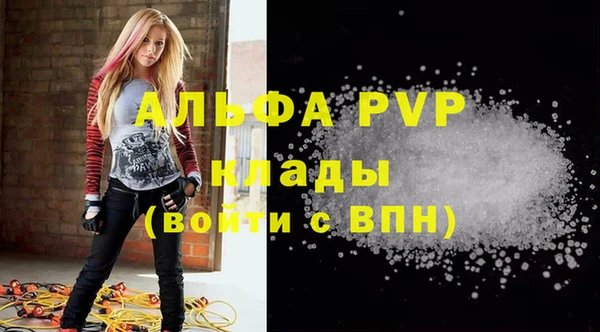 твердый Каменногорск