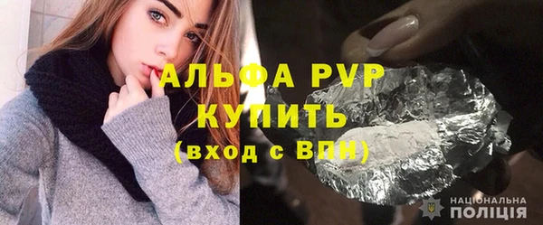 дмт Каменка