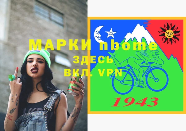 дмт Каменка