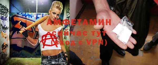 дмт Каменка