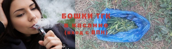 дмт Каменка